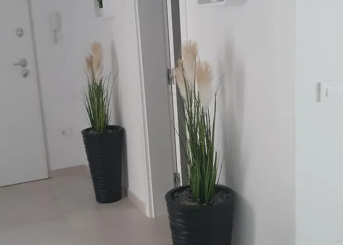 Apartament Casa Bella Tar-Vabriga